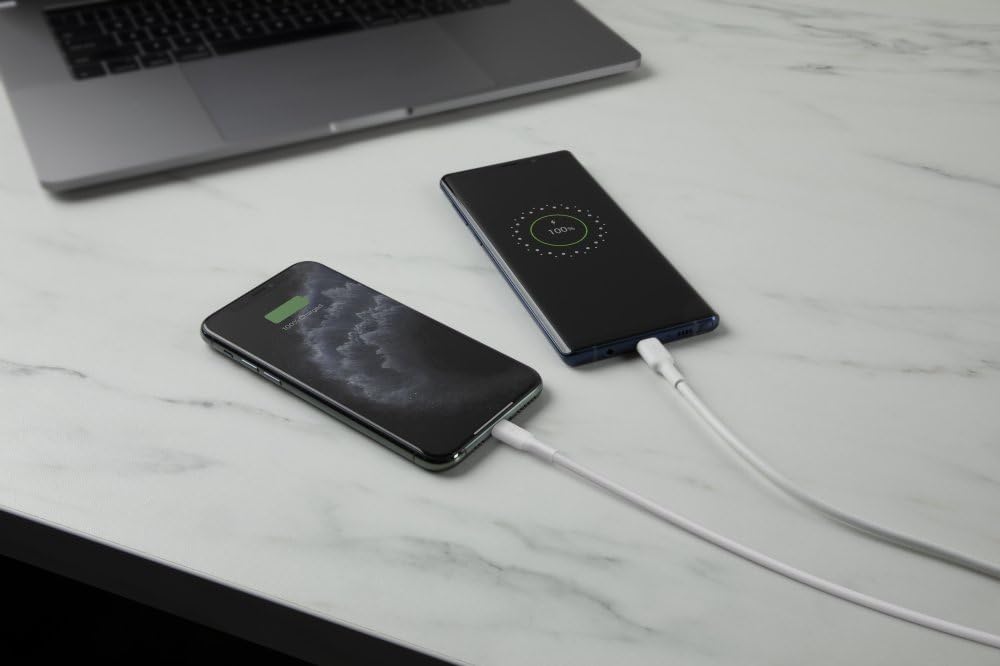 belkin-boost-charge-chargeur-secteur-2-ports-usb-a-12-w-4-8-a-recharge-simultan- image 4