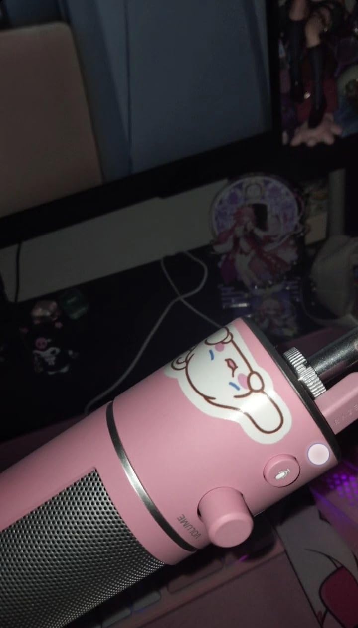 Parfait pour débuter le stream