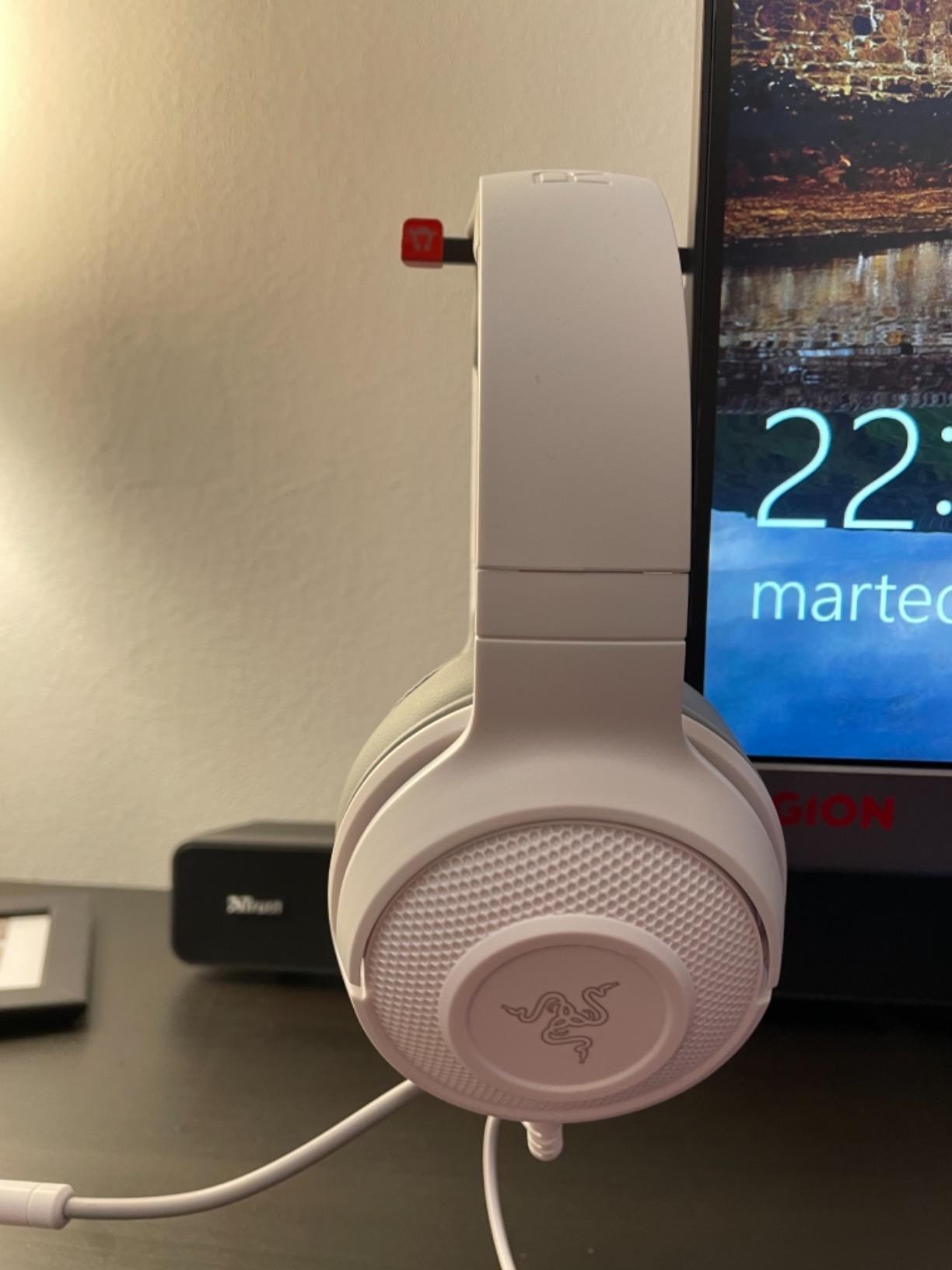 Parfait pour le télétravail et le gaming