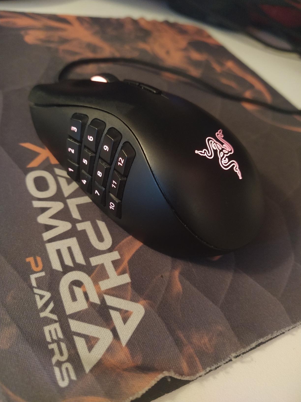 Parfaite pour WOW