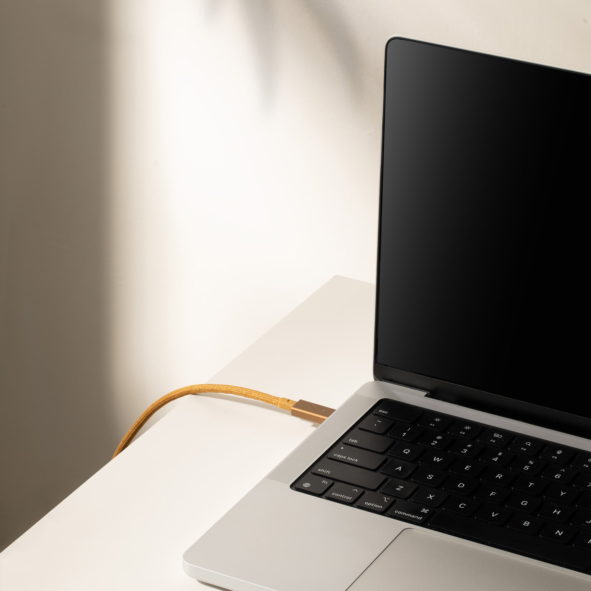 native-union-belt-cable-pro-240w-usb-c-usb-c-c-ble-power-delivery-3-1-240w-tress image 7